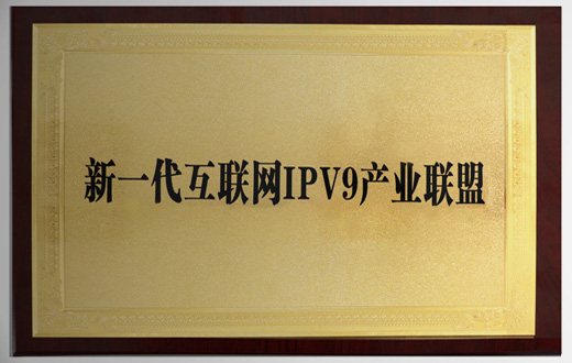新一代互聯(lián)網(wǎng)IPV9產(chǎn)業(yè)聯(lián)盟.jpg